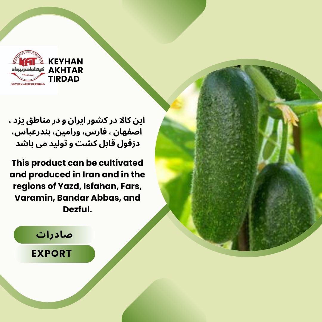 خیارسبز